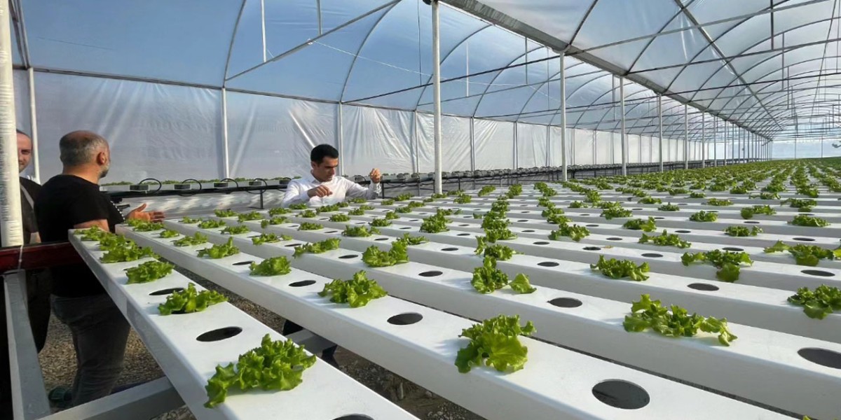 Su Kültürü Tekniği ile Sebze Üretimi Rize'de Başladı