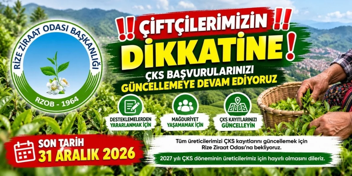 Rize Ziraat Odası’ndan Çiftçilere Önemli Uyarı! Son Tarih 31 Aralık